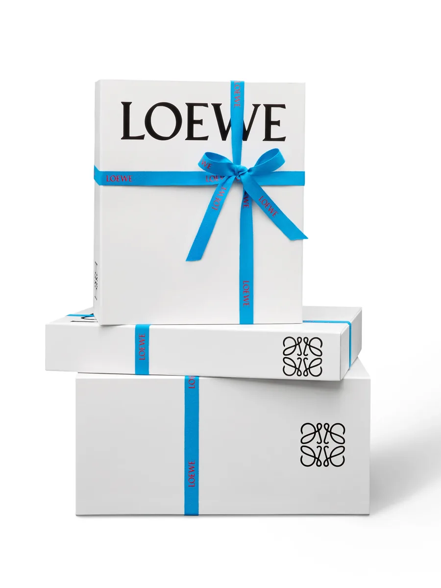 Loewe жазуы бар көгілдір таспамен байланған ақ Loewe сыйлық қораптары
