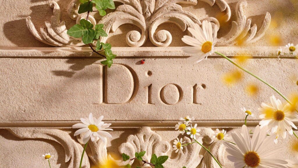 Dior отправляет лето на юг Франции