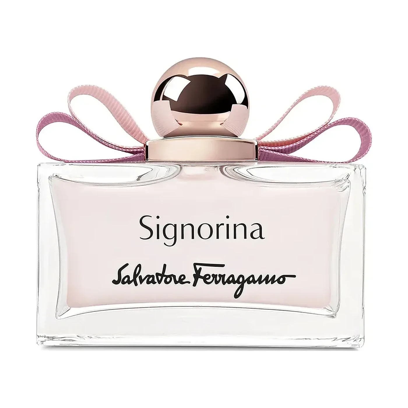 Signorina Edition