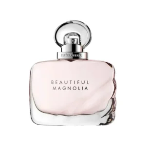 Beautiful Magnolia