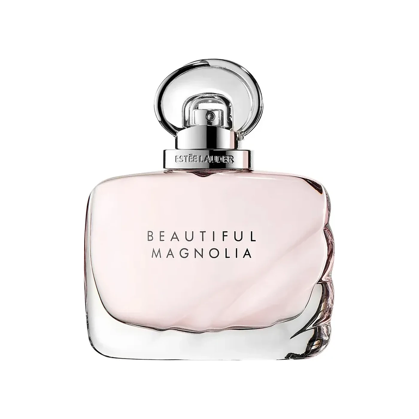 Beautiful Magnolia