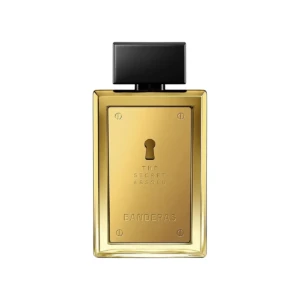 The Secret Absolu