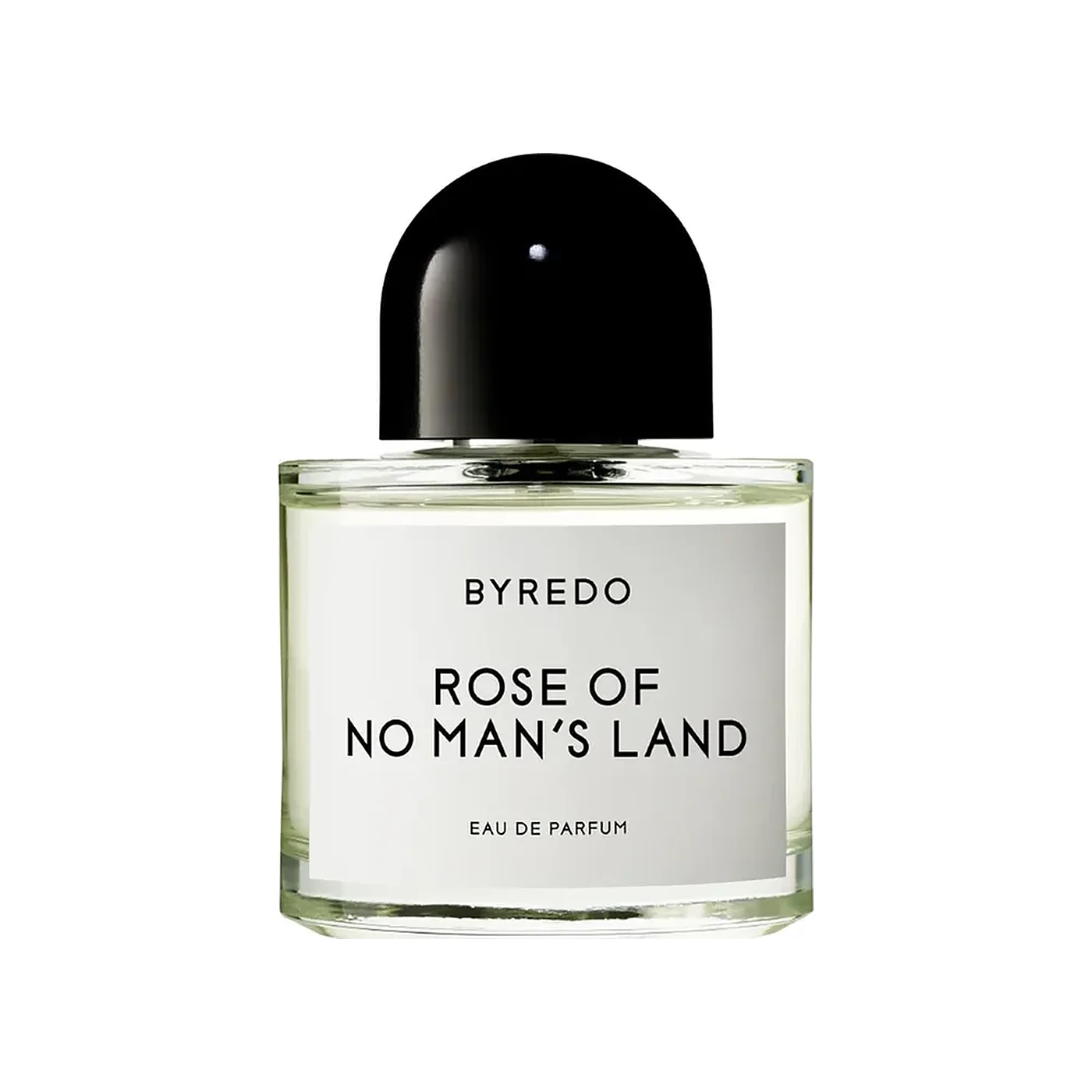 Rose Of No Man's Land