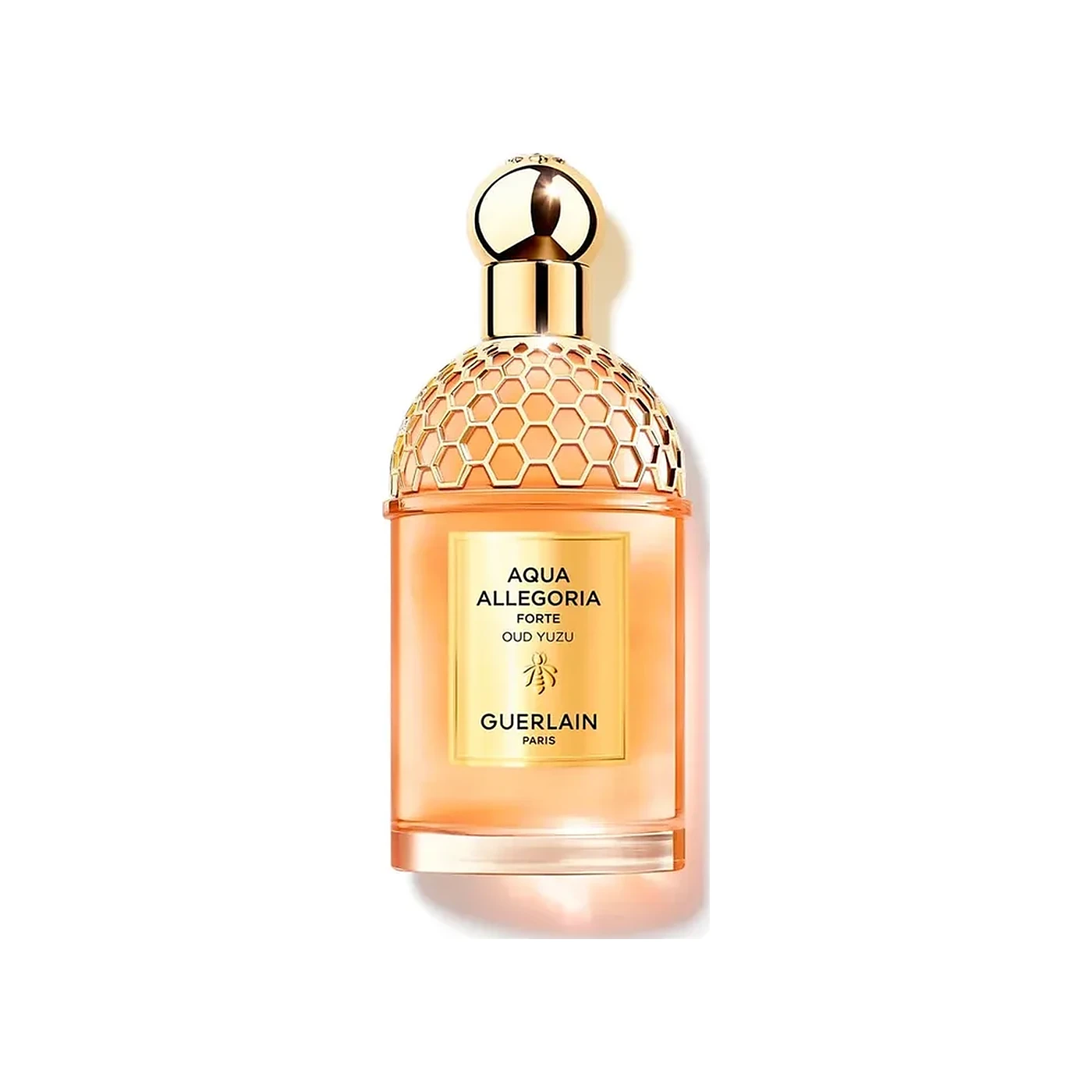 Aqua Allegoria Forte Oud Yuzu