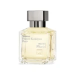 Masculin Pluriel