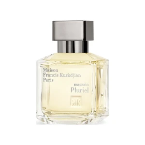Masculin Pluriel