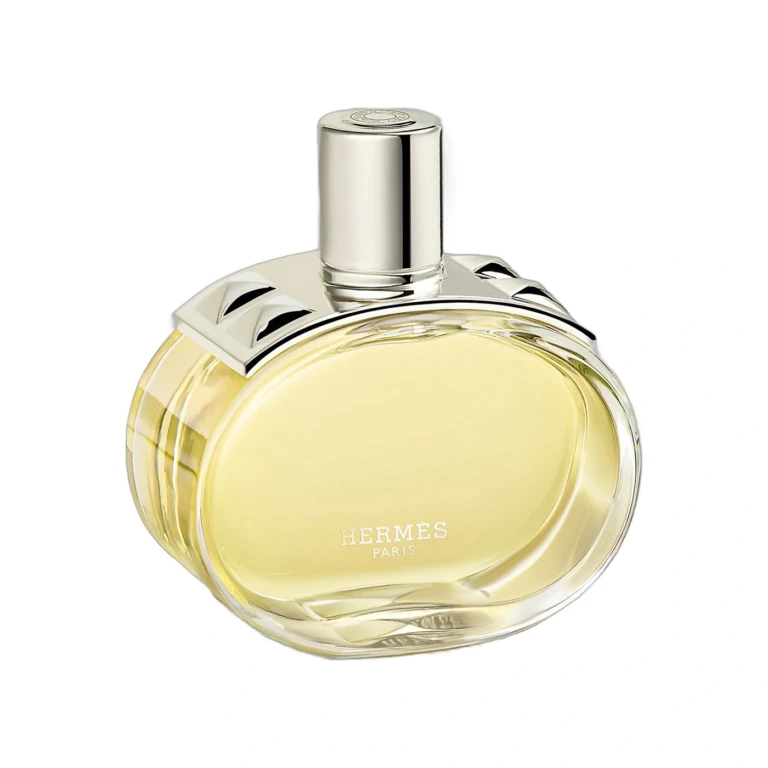 Hermes Barenia