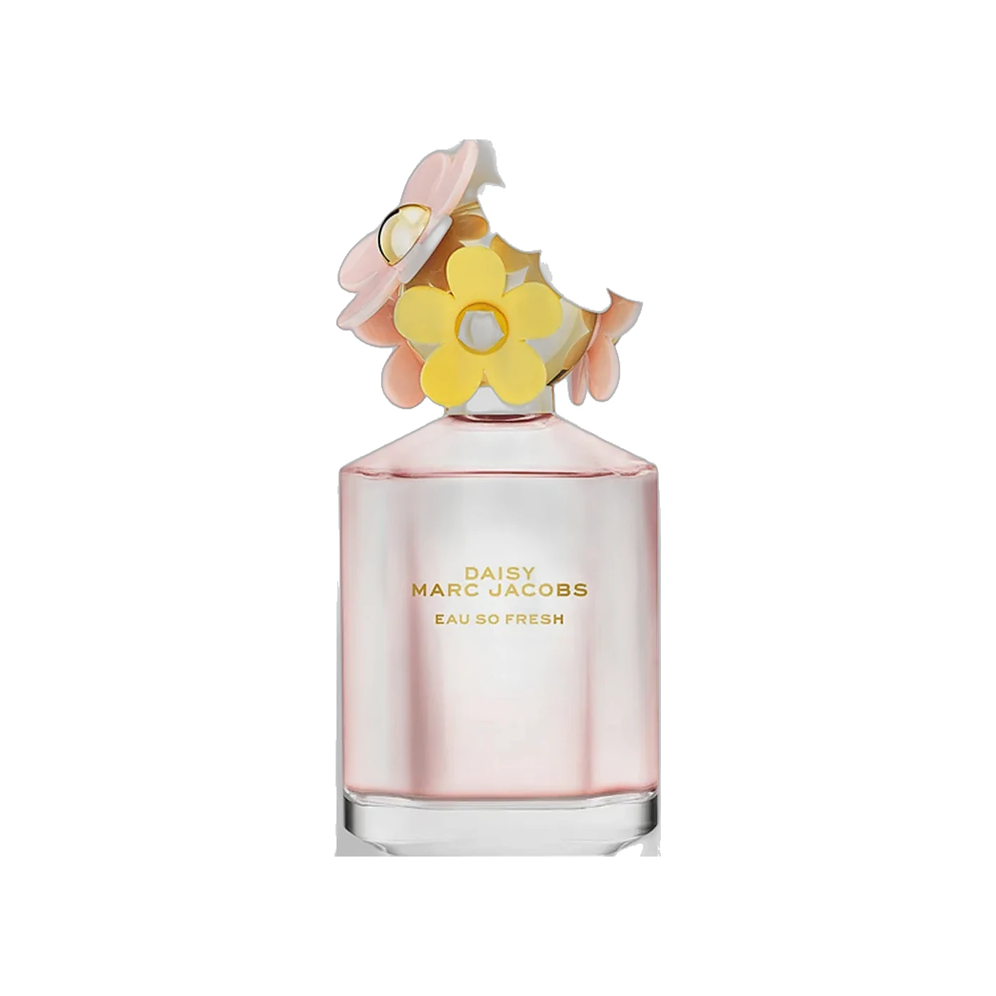 Daisy Fresh Edition