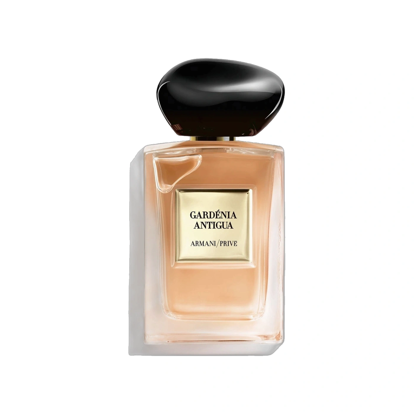 Gardenia Antigua