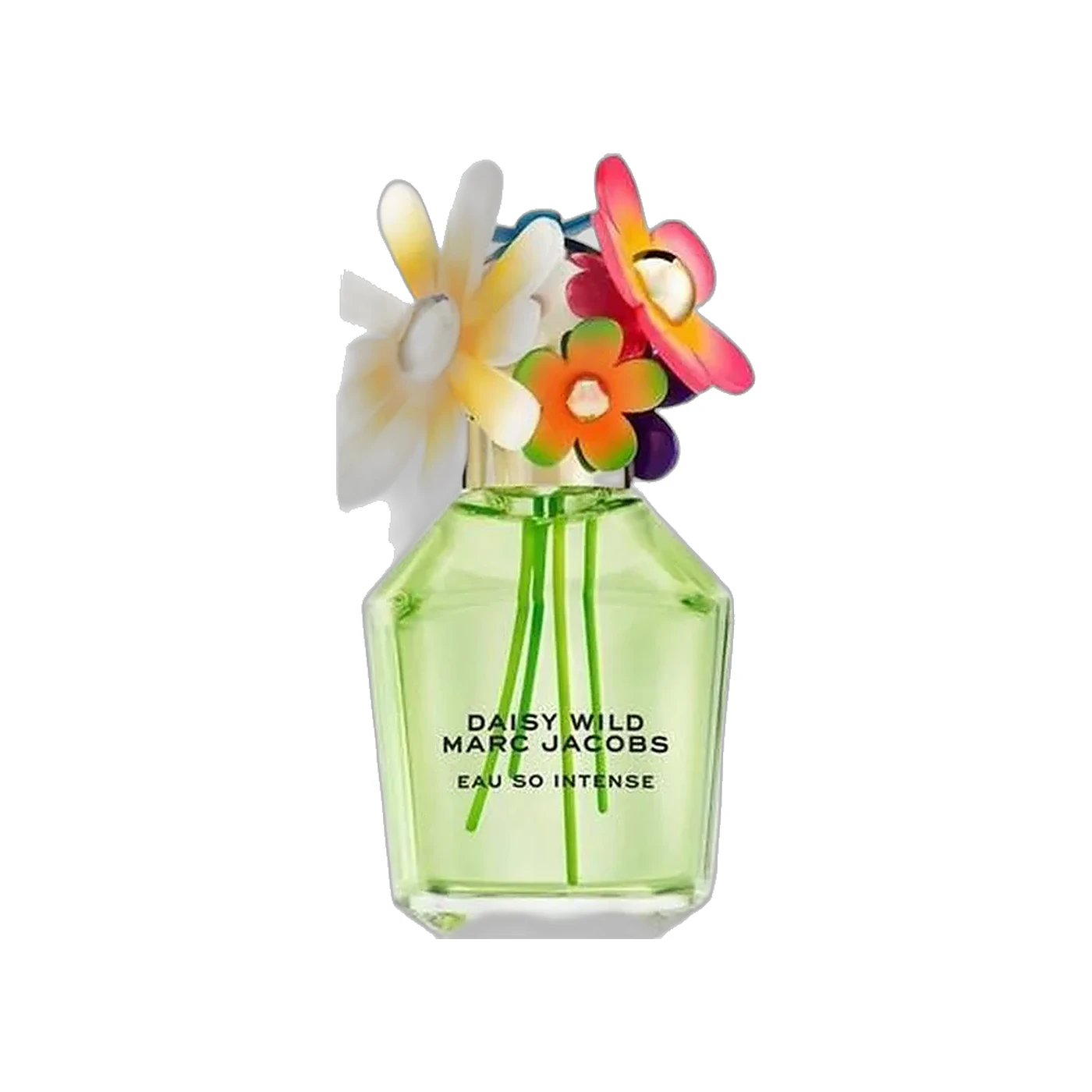 Daisy Wild Eau So Intense
