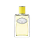 Infusion d'Ylang