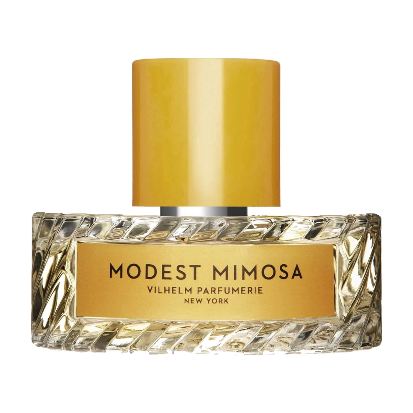 Modest Mimosa