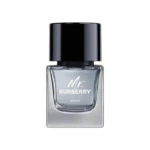 Mr Burberry Indigo