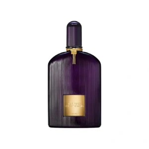 Velvet Orchid