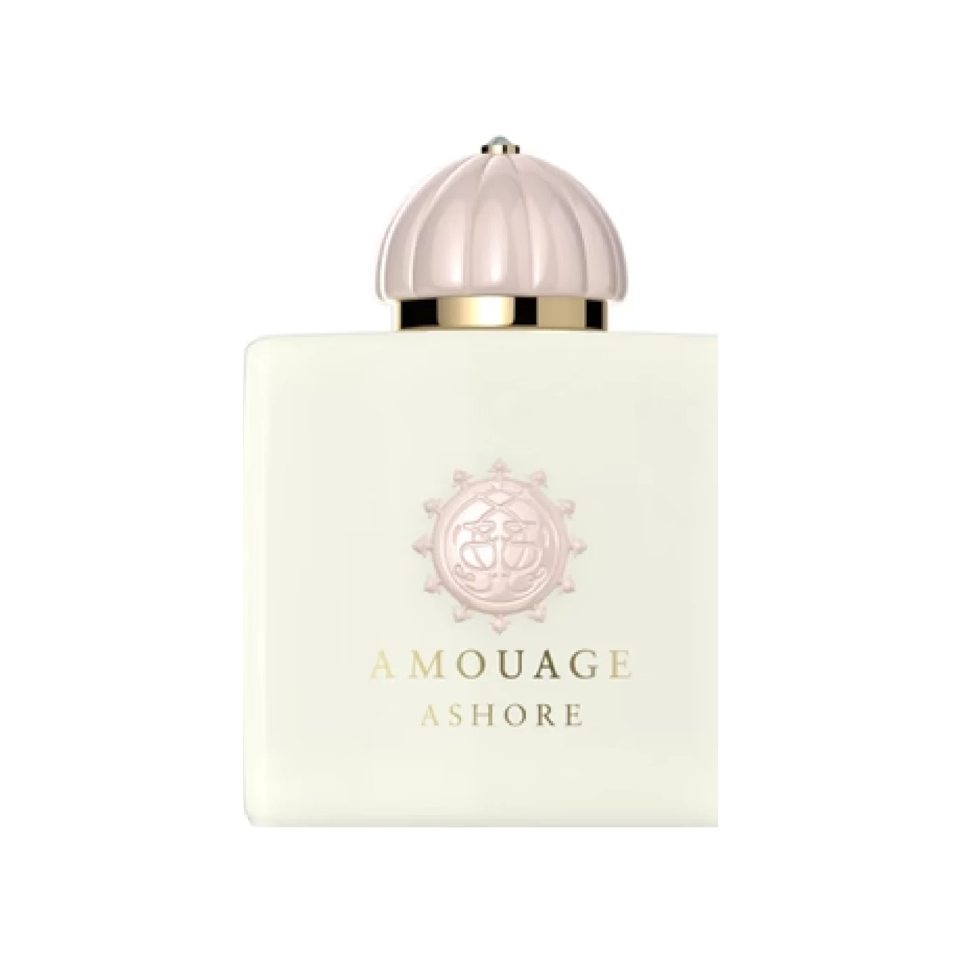 Ashore