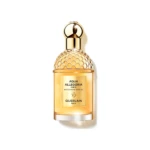 Aqua Allegoria Forte Mandarine Basilic